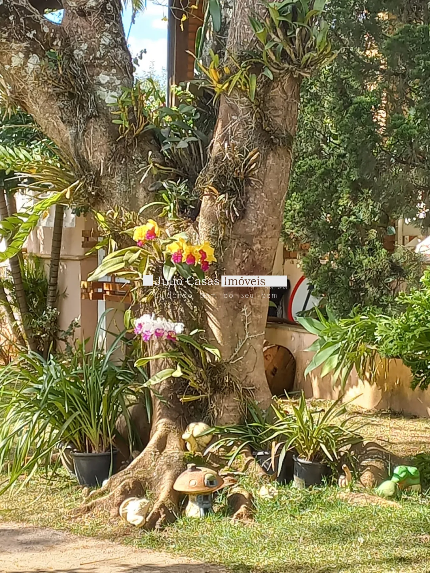 Comprar Rural / Chácara em Iperó R$ 900.000,00 - Foto 3