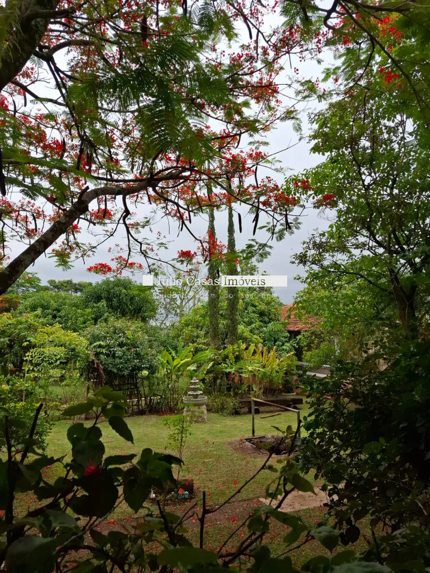 Comprar Rural / Chácara em Iperó R$ 900.000,00 - Foto 4