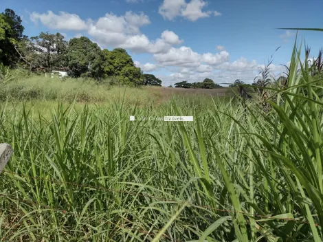imagem 2 - Área á venda, 42.000,00 - Vila Haro, Sorocaba imagem 2 - Área á venda, 42.000,00 - Vila Haro, Sorocaba