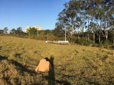 Sorocaba Ipatinga Area Venda R$14.000.000,00  Area do terreno 20000.00m2 