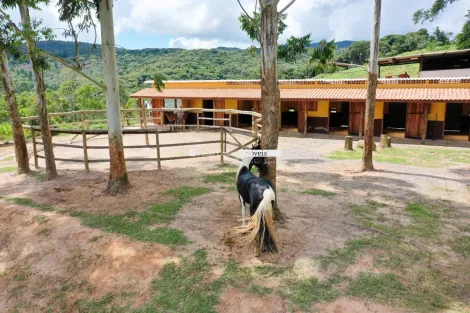 imagem 5 - Sitio a venda com 30.000,00m2 no bairro Murundu - Ibiúna imagem 5 - Sitio a venda com 30.000,00m2 no bairro Murundu - Ibiúna