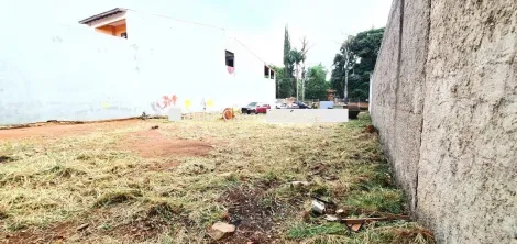 imagem 4 - Terreno - Padrão imagem 4 - Terreno - Padrão