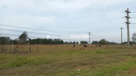 imagem 2 - Área á venda, 48.529,50 - Itapetininga imagem 2 - Área á venda, 48.529,50 - Itapetininga