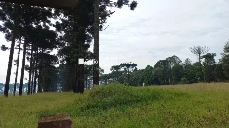 imagem 1 - Área Industrial á venda, 106.100,00m2 - Jardim Bela Vista, Itapetininga imagem 1 - Área Industrial á venda, 106.100,00m2 - Jardim Bela Vista, Itapetininga