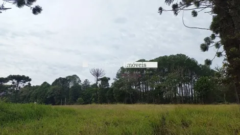 imagem 2 - Área Industrial á venda, 106.100,00m2 - Jardim Bela Vista, Itapetininga imagem 2 - Área Industrial á venda, 106.100,00m2 - Jardim Bela Vista, Itapetininga