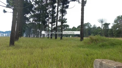 imagem 5 - Área Industrial á venda, 106.100,00m2 - Jardim Bela Vista, Itapetininga imagem 5 - Área Industrial á venda, 106.100,00m2 - Jardim Bela Vista, Itapetininga