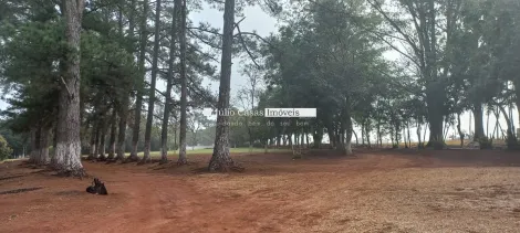 imagem 2 - Área para Loteamento em Itapetininga imagem 2 - Área para Loteamento em Itapetininga