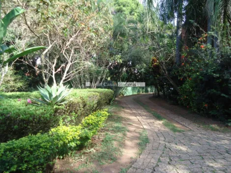 imagem 4 - Terreno - Área imagem 4 - Terreno - Área