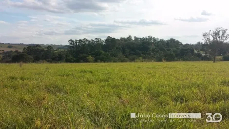 imagem 1 - Área á venda, 20.000,00 M2 - Guarapiranga, Porto Feliz imagem 1 - Área á venda, 20.000,00 M2 - Guarapiranga, Porto Feliz
