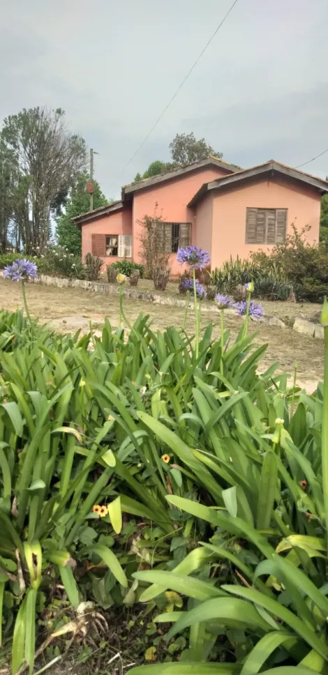 imagem 2 - Sítio a venda com 4 quartos, 600m2 no Bairro Paula e Mendes - Piedade SP imagem 2 - Sítio a venda com 4 quartos, 600m2 no Bairro Paula e Mendes - Piedade SP