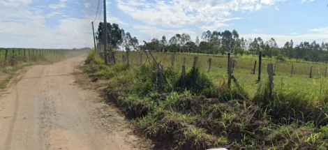 imagem 3 - Área em Salto de Pirapora imagem 3 - Área em Salto de Pirapora