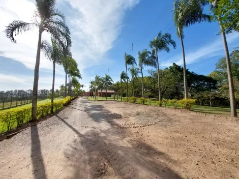 imagem 4 - Sítio a venda com 13 alqueires imagem 4 - Sítio a venda com 13 alqueires