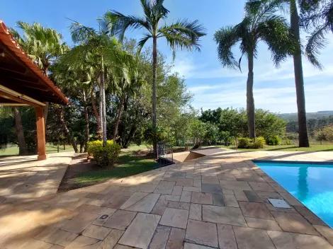 imagem 2 - Sítio a venda com 13 alqueires imagem 2 - Sítio a venda com 13 alqueires