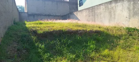 imagem 3 - Terreno 245m² Jardim Prestes de Barros imagem 3 - Terreno 245m² Jardim Prestes de Barros