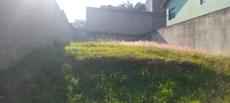 imagem 4 - Terreno 245m² Jardim Prestes de Barros imagem 4 - Terreno 245m² Jardim Prestes de Barros