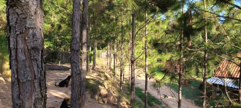 imagem 5 - Chácara à venda, 6.612,57m²- Portal São Tiago - Itu/SP imagem 5 - Chácara à venda, 6.612,57m²- Portal São Tiago - Itu/SP