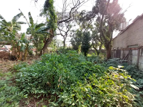 imagem 2 - Terreno com 300m² no Jardim Bandeirantes imagem 2 - Terreno com 300m² no Jardim Bandeirantes