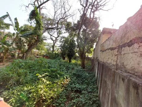 imagem 3 - Terreno com 300m² no Jardim Bandeirantes imagem 3 - Terreno com 300m² no Jardim Bandeirantes