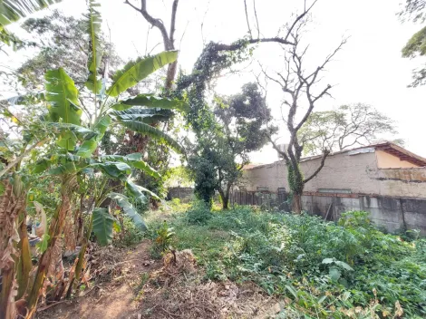 imagem 4 - Terreno com 300m² no Jardim Bandeirantes imagem 4 - Terreno com 300m² no Jardim Bandeirantes