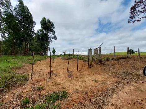 imagem 2 - Sítio a venda com 70 alqueires imagem 2 - Sítio a venda com 70 alqueires