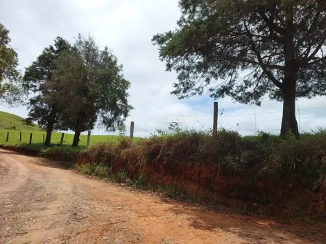 imagem 5 - Sítio a venda com 70 alqueires imagem 5 - Sítio a venda com 70 alqueires