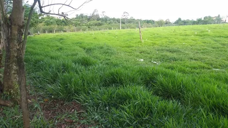imagem 1 - Terreno - Área imagem 1 - Terreno - Área