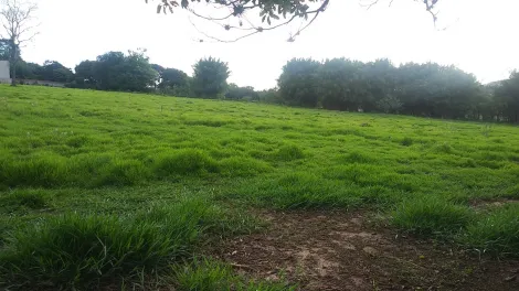 imagem 2 - Terreno - Área imagem 2 - Terreno - Área