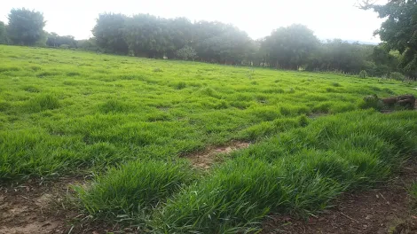 imagem 4 - Terreno - Área imagem 4 - Terreno - Área