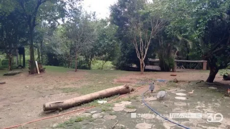imagem 5 - Chácara à venda - Inhaíba imagem 5 - Chácara à venda - Inhaíba
