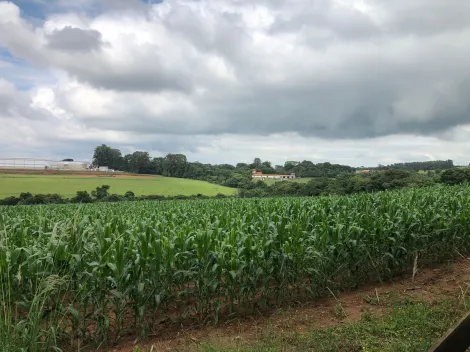 imagem 3 - Sítio em Araçoiaba da Serra imagem 3 - Sítio em Araçoiaba da Serra