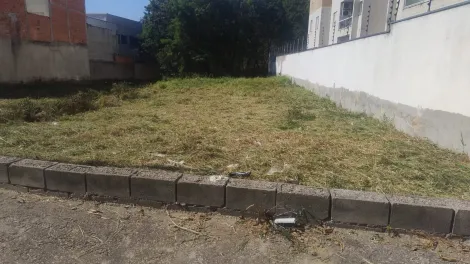 imagem 1 - Terreno - Padrão imagem 1 - Terreno - Padrão