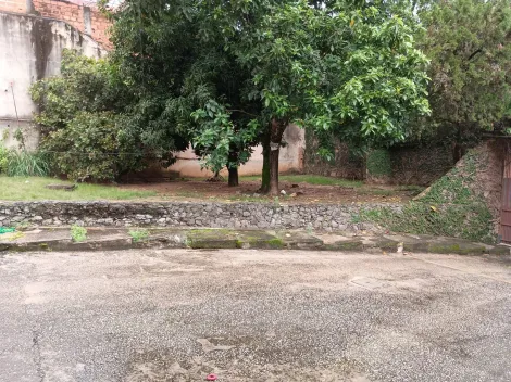 imagem 5 - Casa à venda no Jardim Europa imagem 5 - Casa à venda no Jardim Europa
