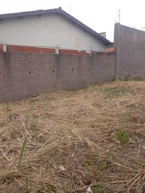 imagem 1 - Terreno - Padrão imagem 1 - Terreno - Padrão