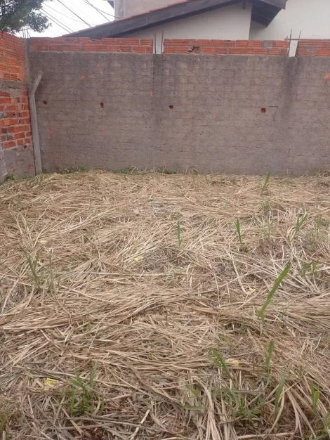 imagem 3 - Terreno - Padrão imagem 3 - Terreno - Padrão