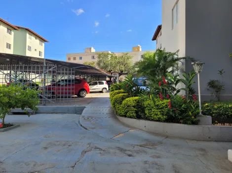imagem 1 - Apartamento  com 2 Quartos e 1 Banheiro no JD. Guadalajara imagem 1 - Apartamento  com 2 Quartos e 1 Banheiro no JD. Guadalajara
