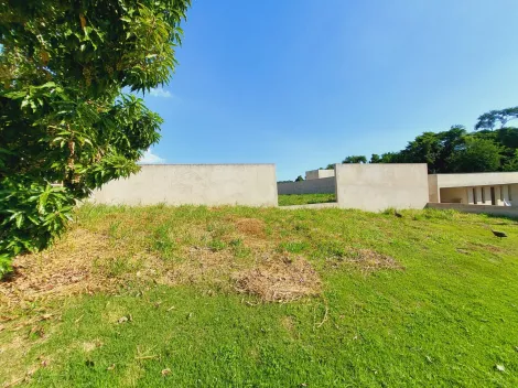 imagem 3 - Terreno a veda plano murado com 1000² em condomínio imagem 3 - Terreno a veda plano murado com 1000² em condomínio
