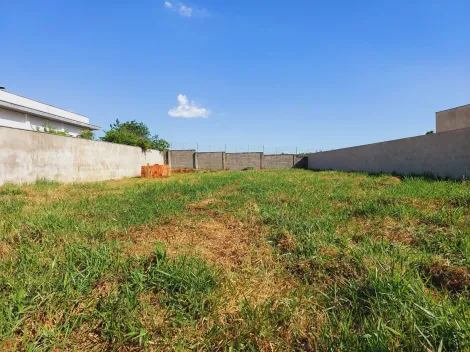 imagem 5 - Terreno a veda plano murado com 1000² em condomínio imagem 5 - Terreno a veda plano murado com 1000² em condomínio