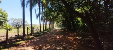 imagem 4 - Sítio à venda - 150 m da Estrada do Jundiaquara imagem 4 - Sítio à venda - 150 m da Estrada do Jundiaquara