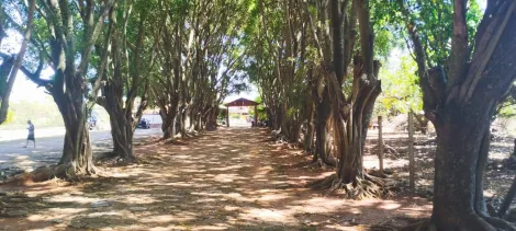 imagem 5 - Sítio à venda - 150 m da Estrada do Jundiaquara imagem 5 - Sítio à venda - 150 m da Estrada do Jundiaquara