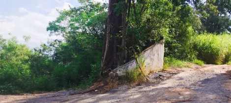 imagem 3 - Área à venda na Estrada José Celeste imagem 3 - Área à venda na Estrada José Celeste