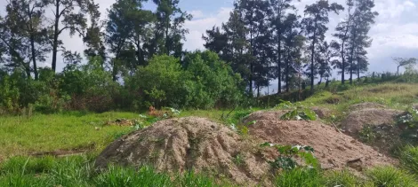 imagem 5 - Área à venda na Estrada José Celeste imagem 5 - Área à venda na Estrada José Celeste