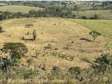 imagem 1 - Área a venda com 45.000m² imagem 1 - Área a venda com 45.000m²