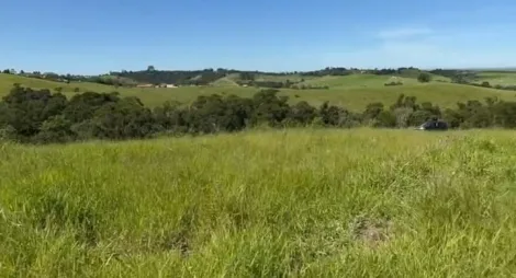 imagem 1 - Área a venda com 33.000m² imagem 1 - Área a venda com 33.000m²