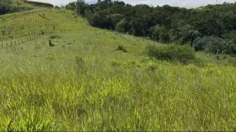 imagem 2 - Área a venda com 33.000m² imagem 2 - Área a venda com 33.000m²