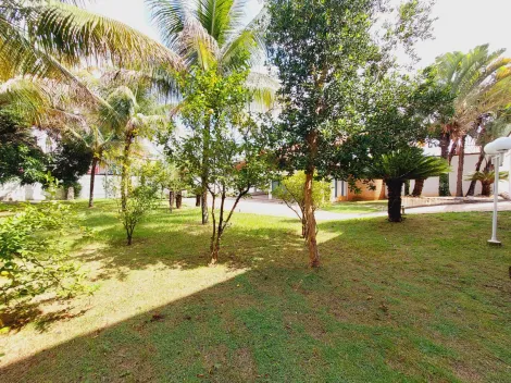 imagem 1 - Terreno comercial para aluguel imagem 1 - Terreno comercial para aluguel