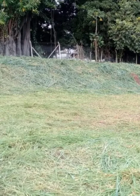 imagem 2 - Terreno institucional a venda imagem 2 - Terreno institucional a venda