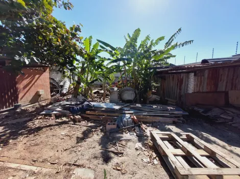 imagem 1 - Terreno - Padrão imagem 1 - Terreno - Padrão