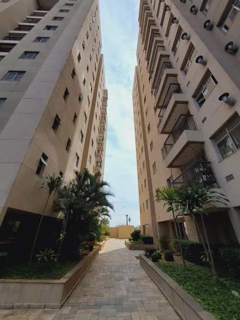 imagem 4 - Apartamento para aluguel com 2 quartos imagem 4 - Apartamento para aluguel com 2 quartos