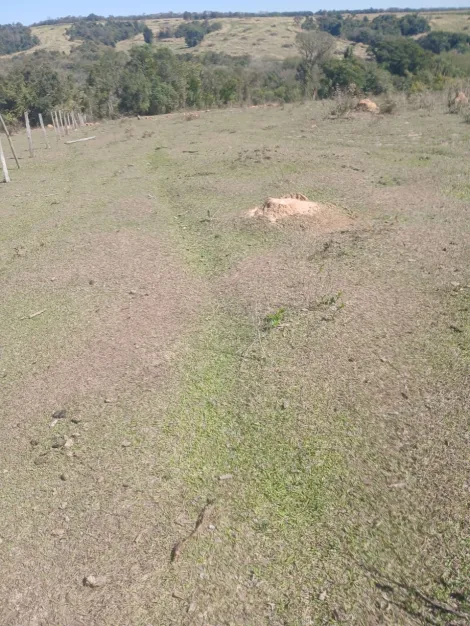 imagem 3 - Área à venda em Bacaetava - Iperó imagem 3 - Área à venda em Bacaetava - Iperó