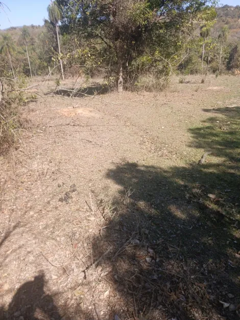 imagem 4 - Área à venda em Bacaetava - Iperó imagem 4 - Área à venda em Bacaetava - Iperó